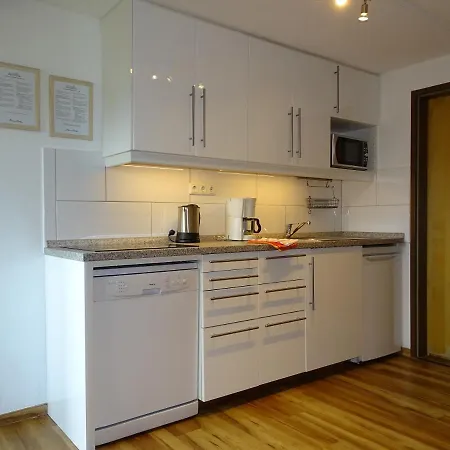 Appartementhaus Kaltenbach-stumm By Piaunddirk Lejlighed *